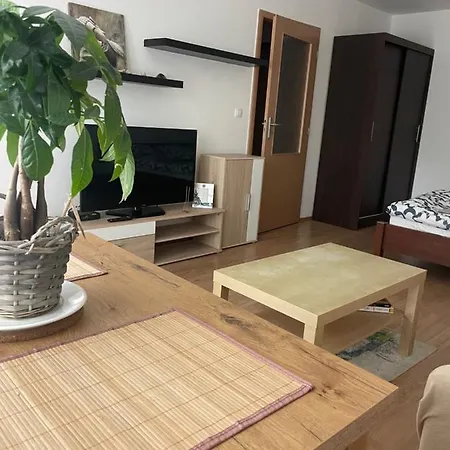 Studio Apartman *